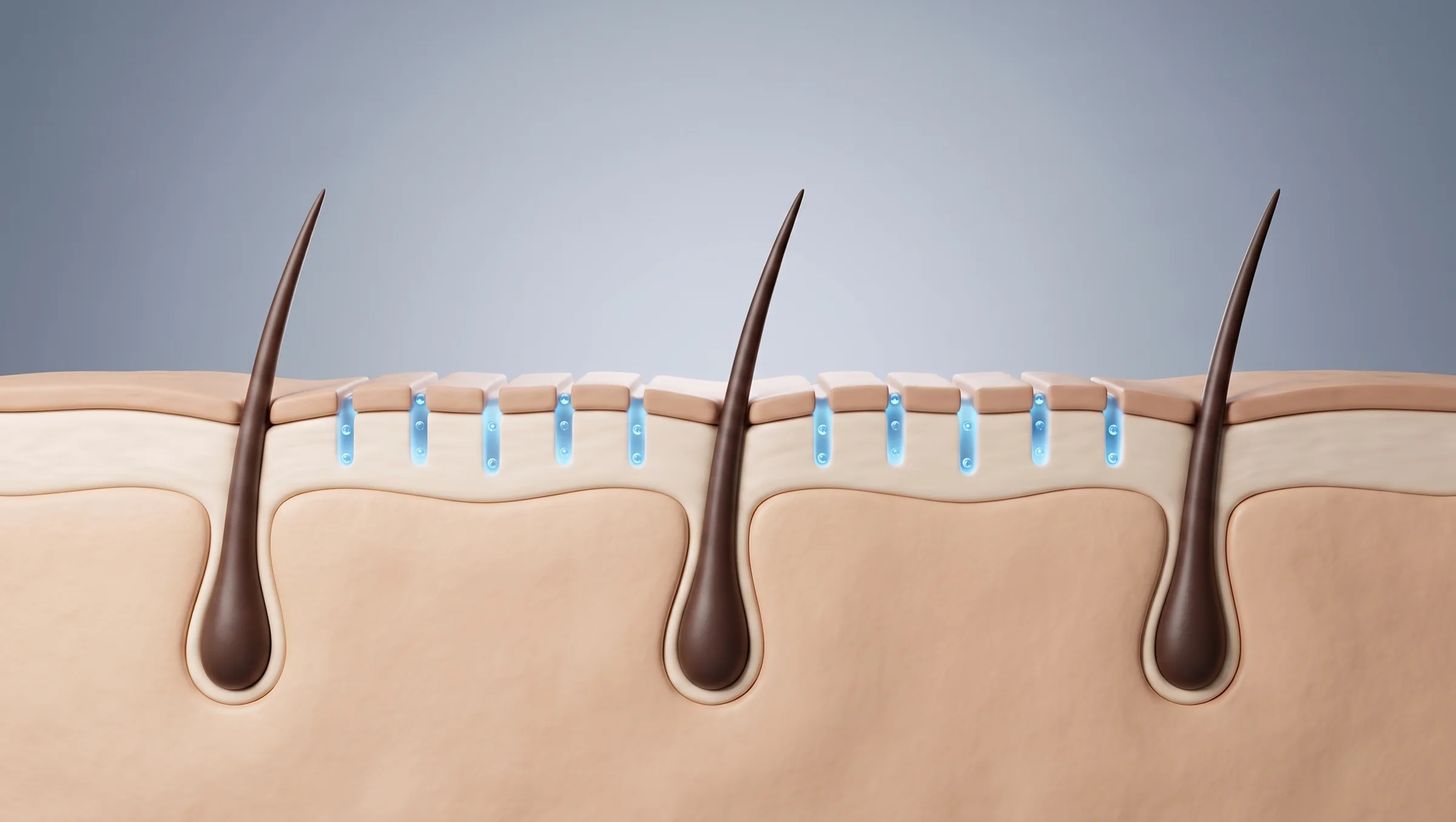 Illustrated scalp cross-section with blue serum filling narrow channels just below the skin surface
